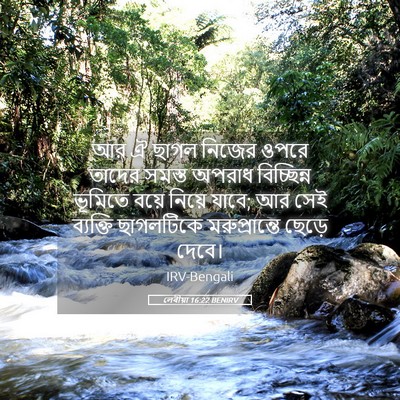 Picture 05 - লেবীয়া 16:22 BENIRV - আর ঐ ছাগল নিজের - Bible Verse Picture