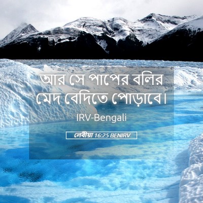 Picture 05 - লেবীয়া 16:25 BENIRV - আর সে পাপের বলির - Bible Verse Picture