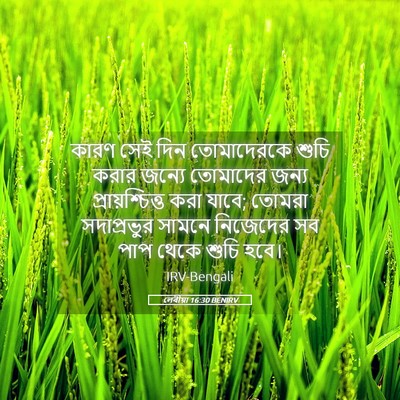 Picture 05 - লেবীয়া 16:30 BENIRV - কারণ সেই দিন - Bible Verse Picture