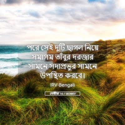 Picture 05 - লেবীয়া 16:7 BENIRV - পরে সেই দুটি ছাগল - Bible Verse Picture