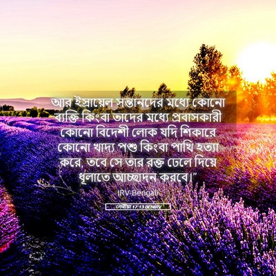 Picture 05 - লেবীয়া 17:13 BENIRV - আর ইস্রায়েল - Bible Verse Picture