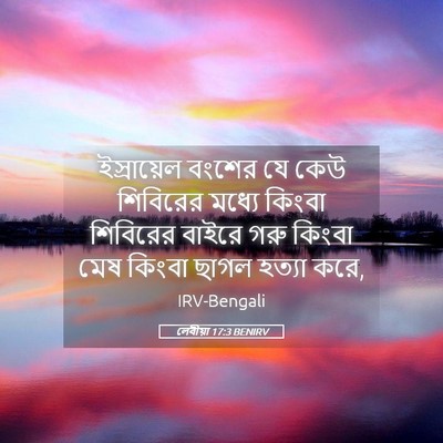 Picture 05 - লেবীয়া 17:3 BENIRV - ইস্রায়েল বংশের - Bible Verse Picture