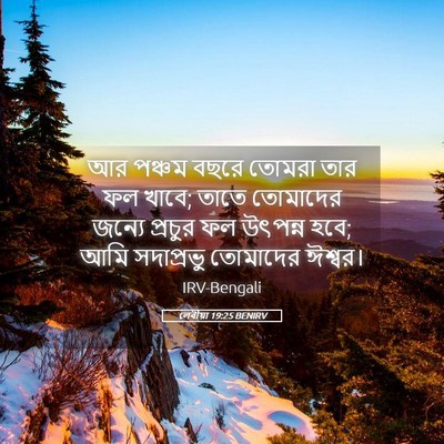 Picture 05 - লেবীয়া 19:25 BENIRV - আর পঞ্চম বছরে - Bible Verse Picture