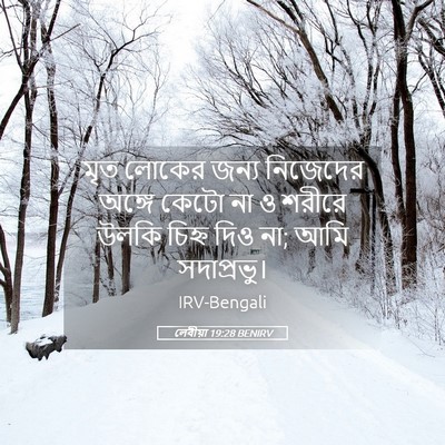 Picture 05 - লেবীয়া 19:28 BENIRV - মৃত লোকের জন্য - Bible Verse Picture