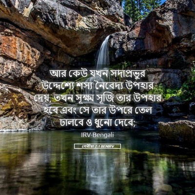 Picture 05 - লেবীয়া 2:1 BENIRV - আর কেউ যখন - Bible Verse Picture