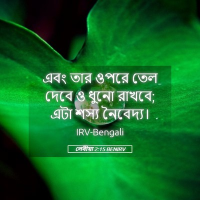 Picture 05 - লেবীয়া 2:15 BENIRV - এবং তার ওপরে তেল - Bible Verse Picture