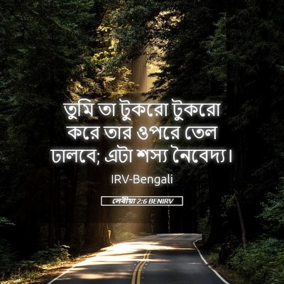 Picture 05 - লেবীয়া 2:6 BENIRV - তুমি তা টুকরো - Bible Verse Picture