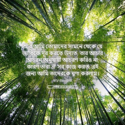 Picture 05 - লেবীয়া 20:23 BENIRV - আর আমি তোমাদের - Bible Verse Picture