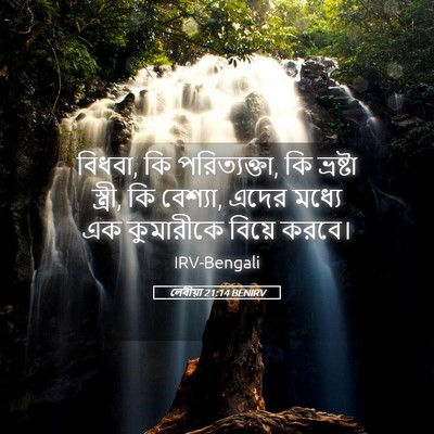 Picture 05 - লেবীয়া 21:14 BENIRV - বিধবা, কি - Bible Verse Picture