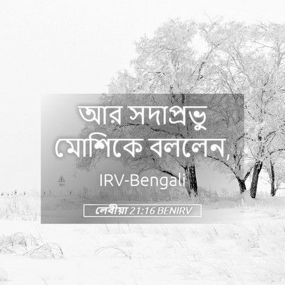 Picture 05 - লেবীয়া 21:16 BENIRV - আর সদাপ্রভু - Bible Verse Picture