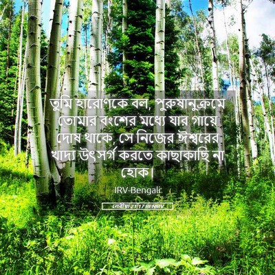 Picture 05 - লেবীয়া 21:17 BENIRV - তুমি হারোণকে বল, - Bible Verse Picture