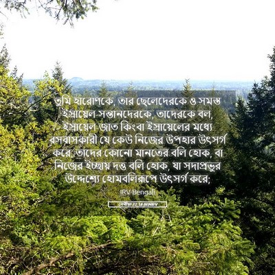 Picture 05 - লেবীয়া 22:18 BENIRV - তুমি হারোণকে, তার - Bible Verse Picture