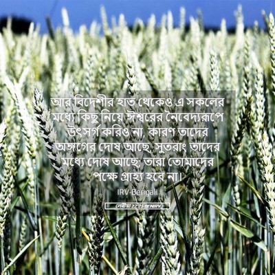 Picture 05 - লেবীয়া 22:25 BENIRV - আর বিদেশীর হাত - Bible Verse Picture