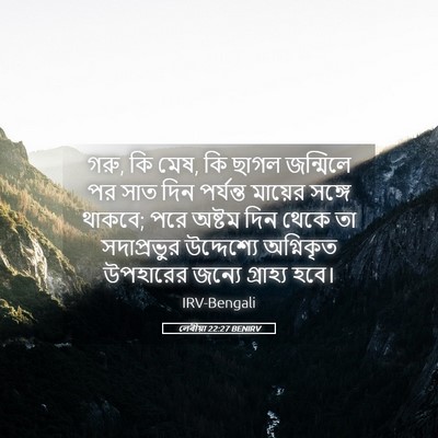 Picture 05 - লেবীয়া 22:27 BENIRV - গরু, কি মেষ, কি ছাগল - Bible Verse Picture