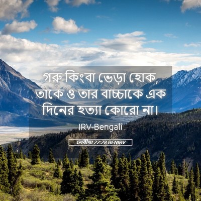 Picture 05 - লেবীয়া 22:28 BENIRV - গরু কিংবা ভেড়া - Bible Verse Picture