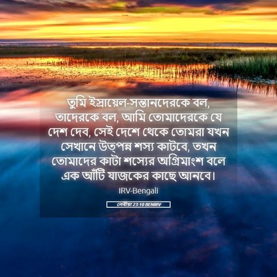 Picture 05 - লেবীয়া 23:10 BENIRV - তুমি - Bible Verse Picture