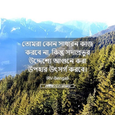 Picture 05 - লেবীয়া 23:25 BENIRV - তোমরা কোন সাধারন - Bible Verse Picture