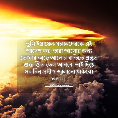 Picture 05 - লেবীয়া 24:2 BENIRV - তুমি - Bible Verse Picture
