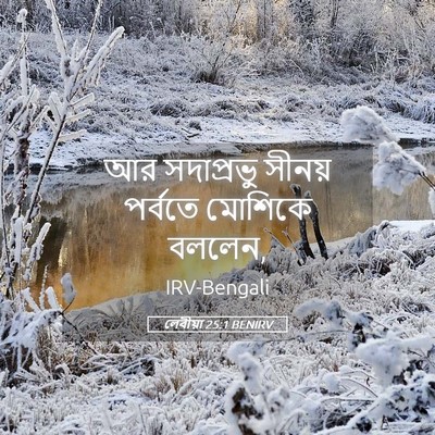 Picture 05 - লেবীয়া 25:1 BENIRV - আর সদাপ্রভু সীনয় - Bible Verse Picture