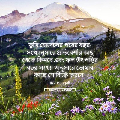 Picture 05 - লেবীয়া 25:15 BENIRV - তুমি যোবেলের পরের - Bible Verse Picture