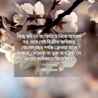 Picture 05 - লেবীয়া 25:28 BENIRV - কিন্তু যদি সে তা - Bible Verse Picture