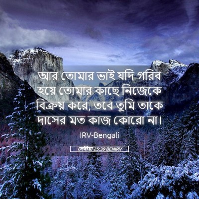 Picture 05 - লেবীয়া 25:39 BENIRV - আর তোমার ভাই যদি - Bible Verse Picture