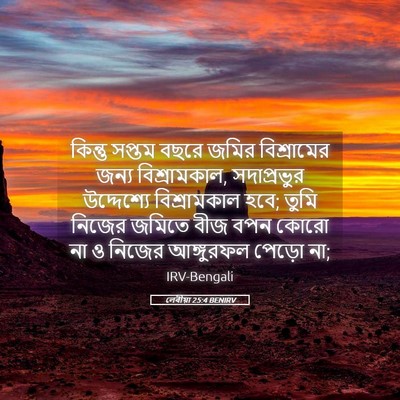 Picture 05 - লেবীয়া 25:4 BENIRV - কিন্তু সপ্তম বছরে - Bible Verse Picture