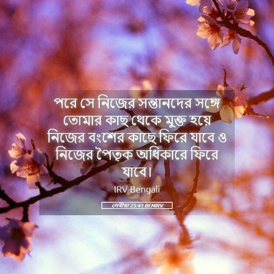 Picture 05 - লেবীয়া 25:41 BENIRV - পরে সে নিজের - Bible Verse Picture