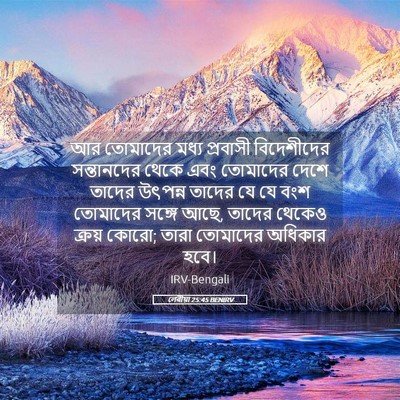 Picture 05 - লেবীয়া 25:45 BENIRV - আর তোমাদের মধ্য - Bible Verse Picture