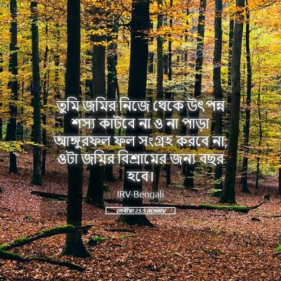 Picture 05 - লেবীয়া 25:5 BENIRV - তুমি জমির নিজে - Bible Verse Picture