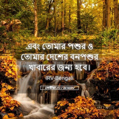 Picture 05 - লেবীয়া 25:7 BENIRV - এবং তোমার পশুর ও - Bible Verse Picture