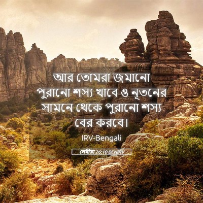 Picture 05 - লেবীয়া 26:10 BENIRV - আর তোমরা জমানো - Bible Verse Picture