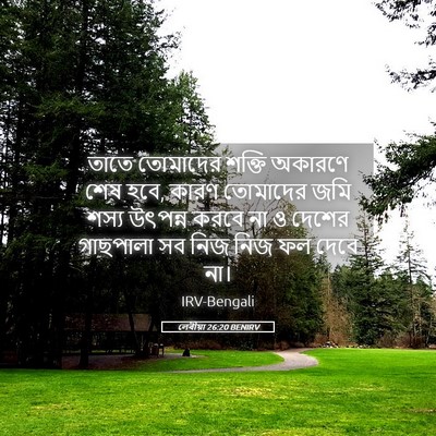 Picture 05 - লেবীয়া 26:20 BENIRV - তাতে তোমাদের - Bible Verse Picture