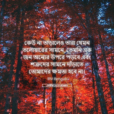 Picture 05 - লেবীয়া 26:37 BENIRV - কেউ না তাড়ালেও - Bible Verse Picture