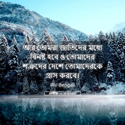 Picture 05 - লেবীয়া 26:38 BENIRV - আর তোমরা জাতিদের - Bible Verse Picture