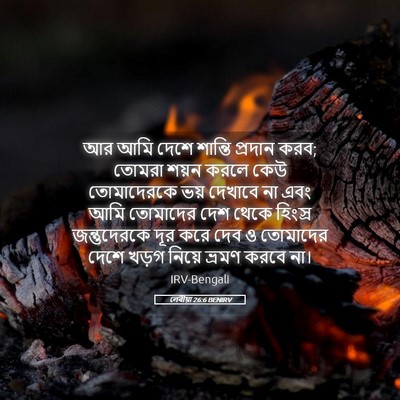 Picture 05 - লেবীয়া 26:6 BENIRV - আর আমি দেশে শান্তি - Bible Verse Picture
