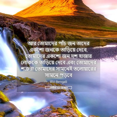 Picture 05 - লেবীয়া 26:8 BENIRV - আর তোমাদের পাঁচ জন - Bible Verse Picture