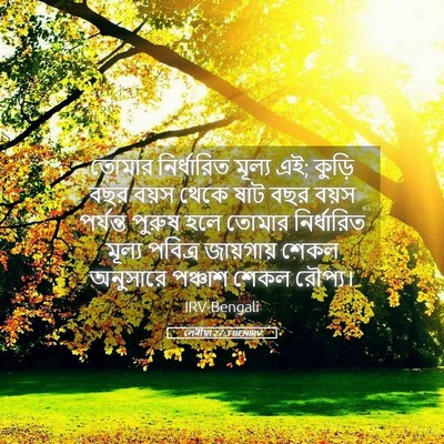 Picture 05 - লেবীয়া 27:3 BENIRV - তোমার নির্ধারিত - Bible Verse Picture