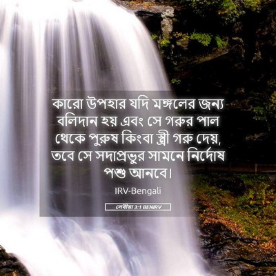 Picture 05 - লেবীয়া 3:1 BENIRV - কারো উপহার যদি - Bible Verse Picture