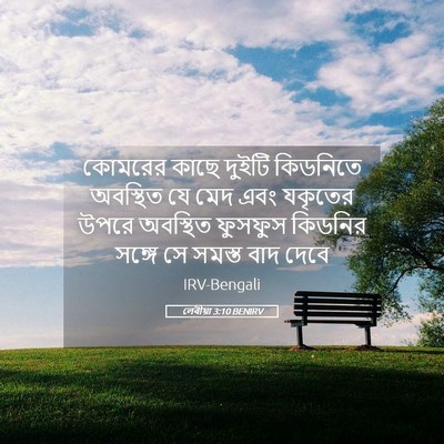 Picture 05 - লেবীয়া 3:10 BENIRV - কোমরের কাছে দুইটি - Bible Verse Picture