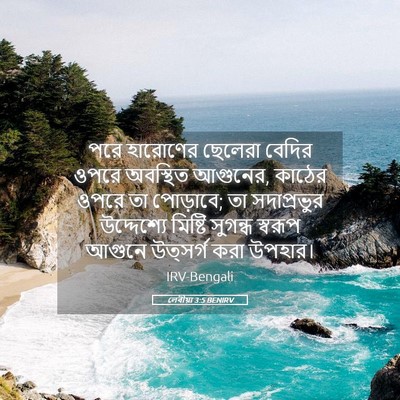 Picture 05 - লেবীয়া 3:5 BENIRV - পরে হারোণের - Bible Verse Picture