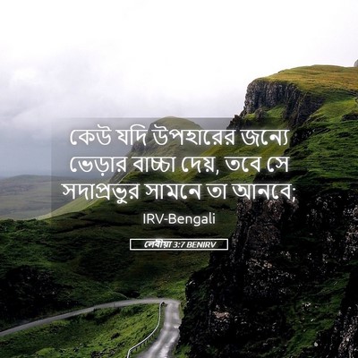 Picture 05 - লেবীয়া 3:7 BENIRV - কেউ যদি উপহারের - Bible Verse Picture