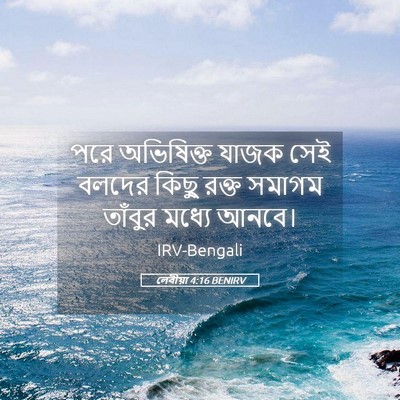 Picture 05 - লেবীয়া 4:16 BENIRV - পরে অভিষিক্ত যাজক - Bible Verse Picture
