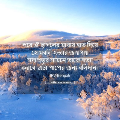 Picture 05 - লেবীয়া 4:24 BENIRV - পরে ঐ ছাগলের - Bible Verse Picture