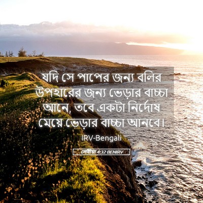Picture 05 - লেবীয়া 4:32 BENIRV - যদি সে পাপের জন্য - Bible Verse Picture