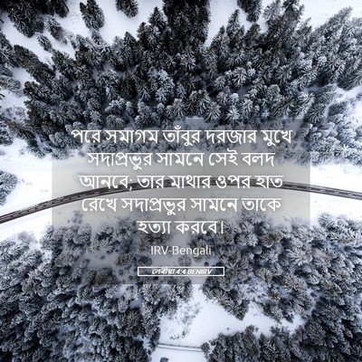 Picture 05 - লেবীয়া 4:4 BENIRV - পরে সমাগম তাঁবুর - Bible Verse Picture