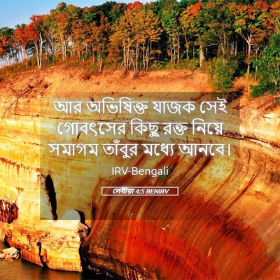 Picture 05 - লেবীয়া 4:5 BENIRV - আর অভিষিক্ত যাজক - Bible Verse Picture