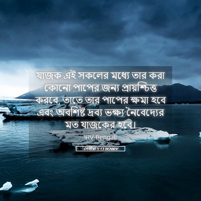 Picture 05 - লেবীয়া 5:13 BENIRV - যাজক এই সকলের - Bible Verse Picture