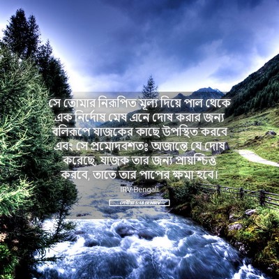 Picture 05 - লেবীয়া 5:18 BENIRV - সে তোমার নিরূপিত - Bible Verse Picture