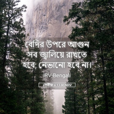 Picture 05 - লেবীয়া 6:13 BENIRV - বেদির উপরে আগুন সব - Bible Verse Picture